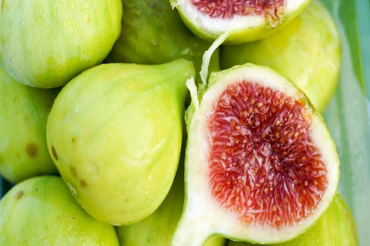 Sonuç ve Tavsiyeler