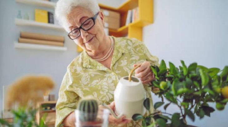 Toprak ve Sulama Düzeni