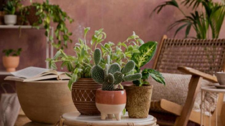 Toprak ve Sulama Düzeni