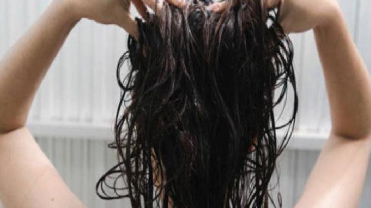 Saç Bakımında Keten Tohumu