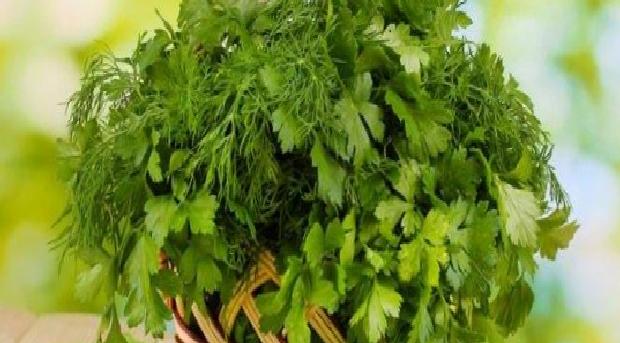 Maydanozun Besin Değeri ve Sağlık Açısından Önemi