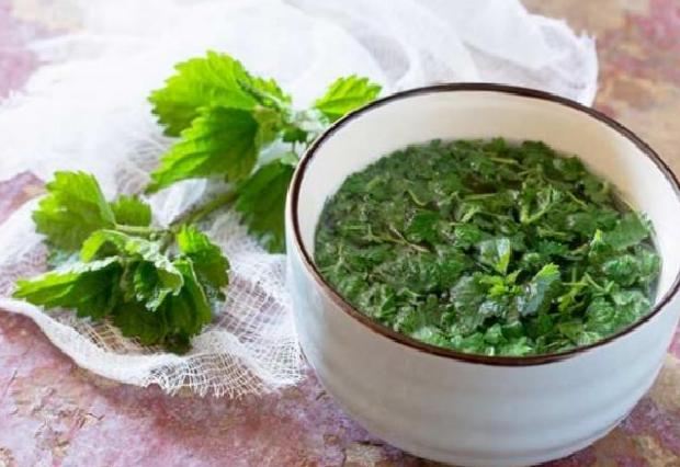 Maydanozun Sağlığa Yararları ve Tedavi Amaçlı Kullanımı