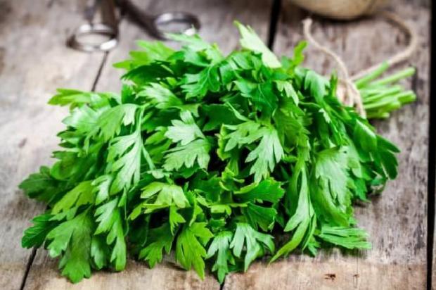 İdrar Yolları ve Böbrek Sağlığını Destekleyen Özellikler