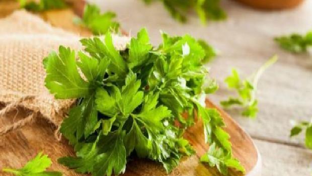 İdrar Söktürücü ve Ödem Atıcı Özellikler