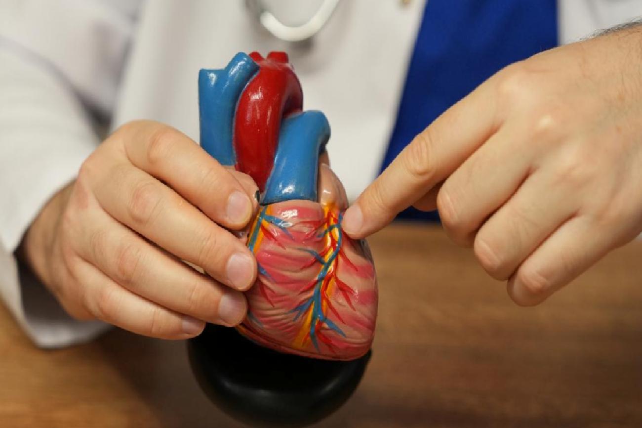 Mikroplastiklerin Kalp ve Damar Sağlığı Üzerindeki Etkileri