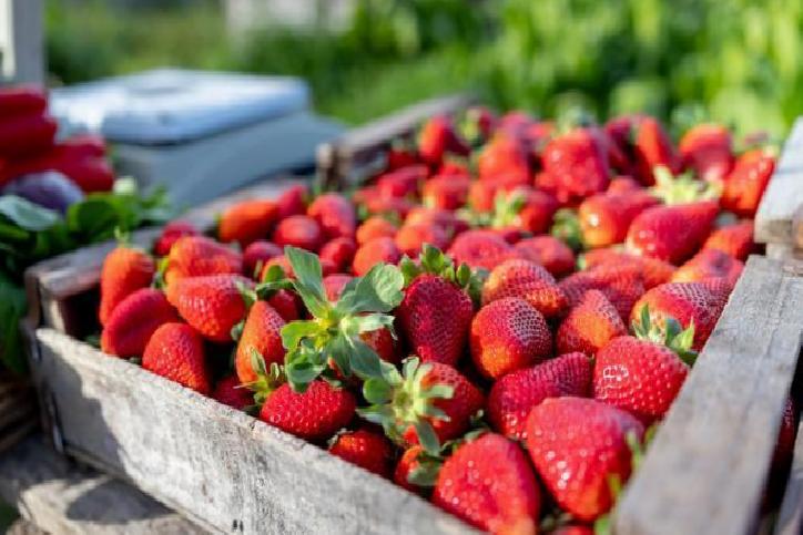 Sağlıklı Hidratasyonun Önemi ve Sıvı Kaybını Önleme Yöntemleri
