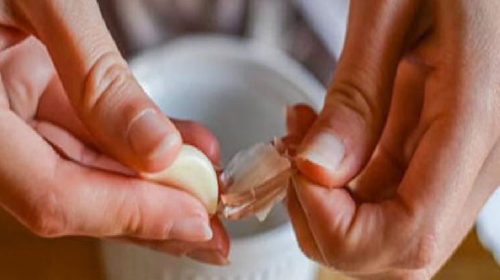 Sarımsağın Toksin Atıcı ve Detoksifikasyon Özellikleri