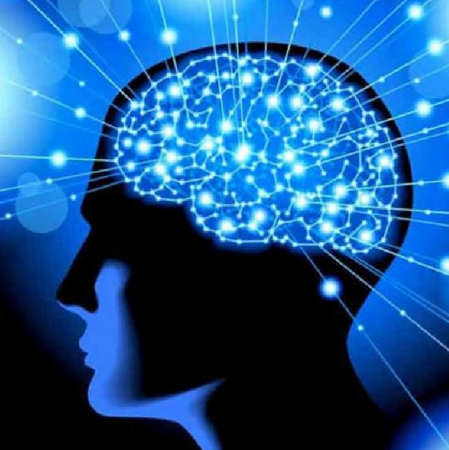 Yapılan Araştırmanın Detayları