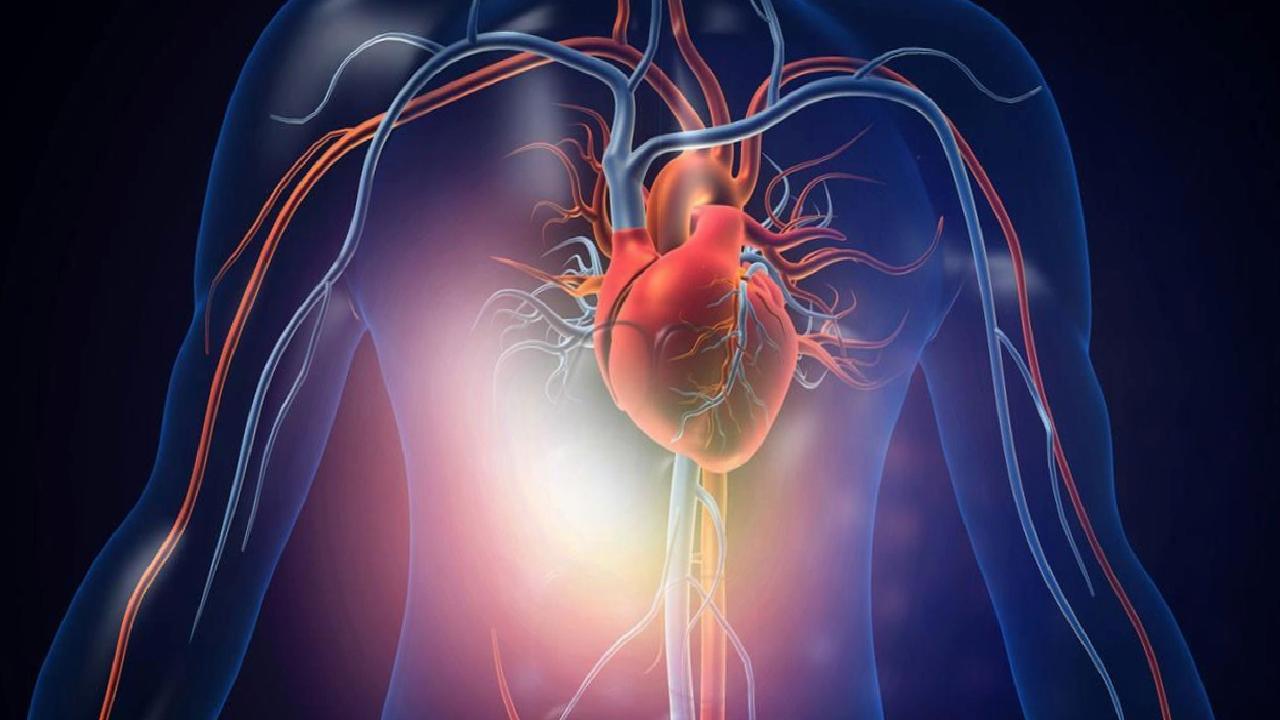 AORT ANEVRİZMASININ BELİRTİLERİ NELERDİR?