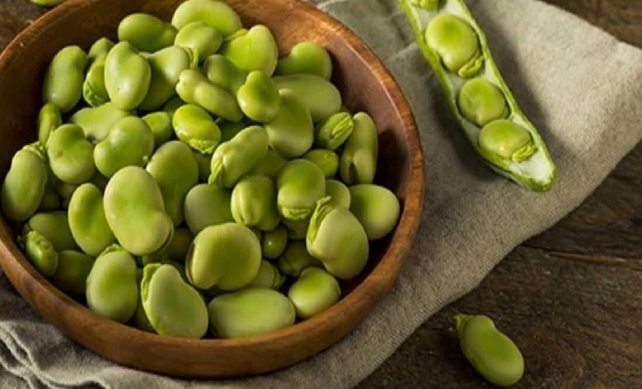 Yaz mevsiminin en güzel yeşillerinden biri olan bakla, hem sofralara tat katıyor hem de sağlık açısından pek çok fayda sunuyor. Bitkisel protein ve karbonhidrat zengini olan bu sebze, içerdiği güçlü besin maddeleri sayesinde vücudumuza pek çok olumlu etki yapmaktadır. Gelin, baklanın sağlık açısından sunduğu bu değerli faydaları detaylıca inceleyelim.