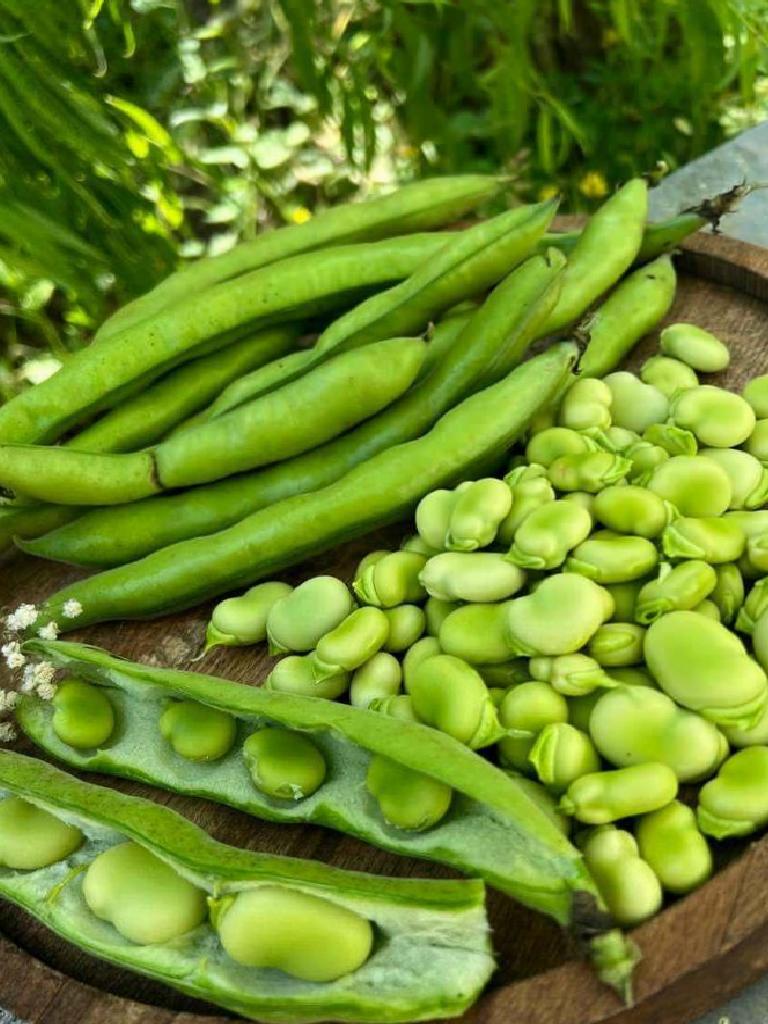 Baklanın Faydaları Nelerdir?