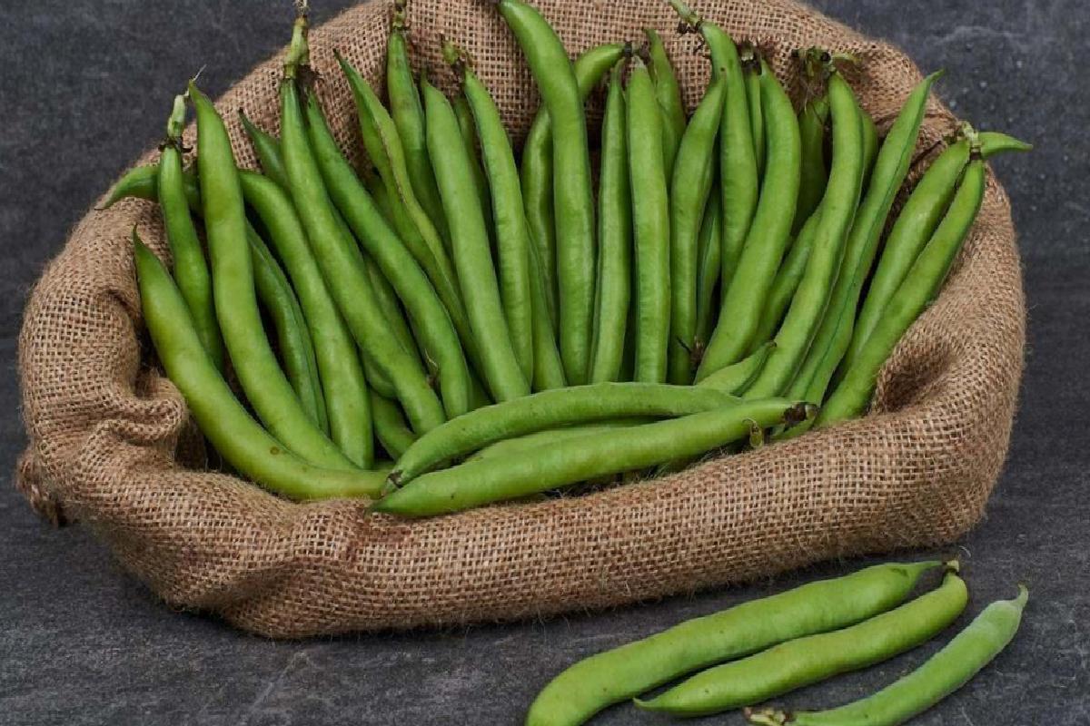 Kan Şekeri Seviyesini Dengeler ve Diyabetle Mücadeleye Yardımcı Olur