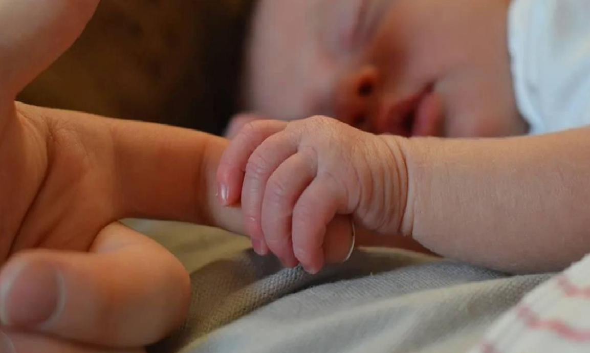 Kapsam ve Hariç Tutulan Durumlar