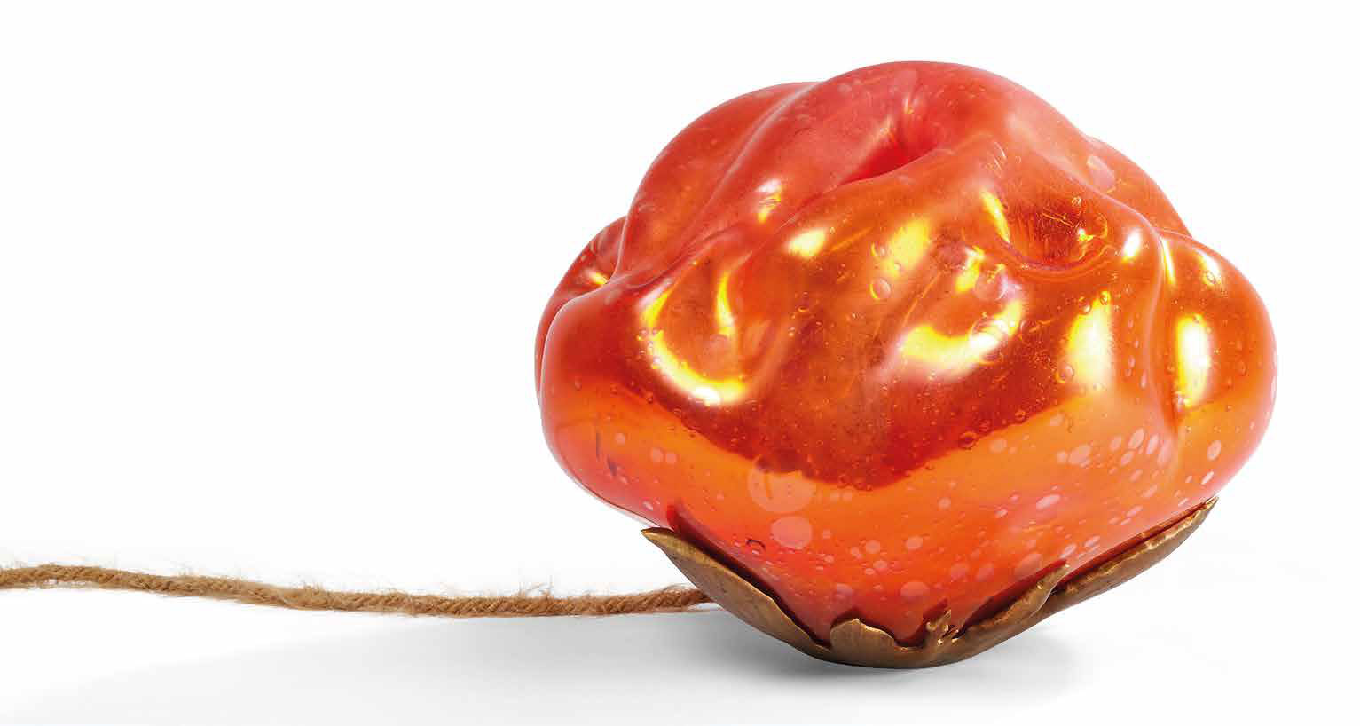 Paydaşlardan Gelişmiş Mesajlar ve Destek