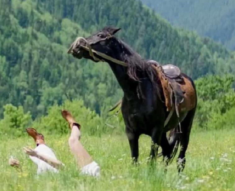 At Üzerinde Çekim Sırasında Talihsiz Kaza