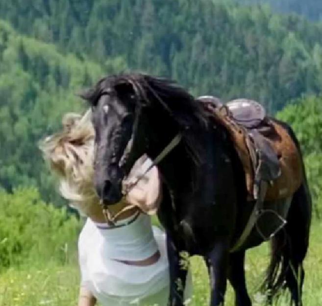 At Üzerinde Çekim Sırasında Talihsiz Kaza