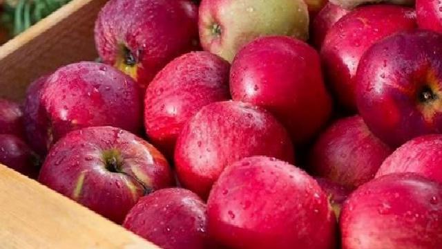 Elma Tüketiminin Sağlığa Katkısı ve Gerçekler