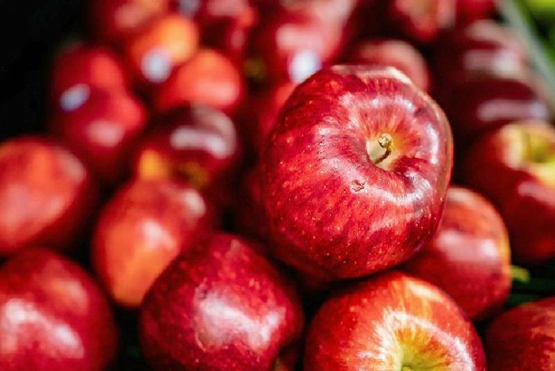 Her Gün Bir Elma Yemenin Sağlığa Olan Etkileri ve Bilinmeyen Yönleri