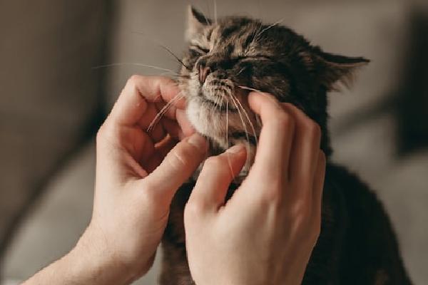 Uzak Ama Derin Bağlar Kurabilenler: Kova Burcu