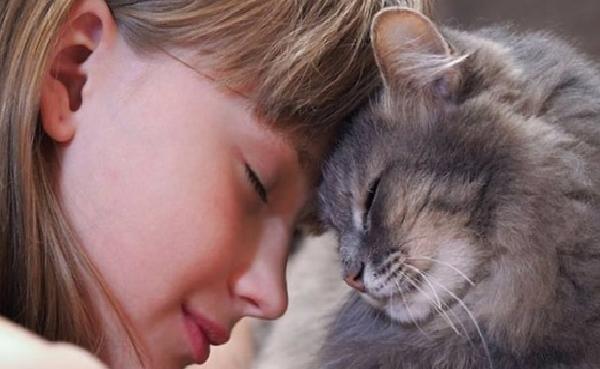 Evdeki Aslan: Aslan Burcu