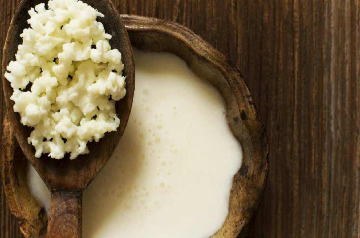 Kefirin Faydaları ve Diyetlerdeki Yeri