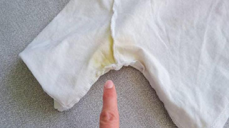 Önerilen Bitkisel Karışımın İçeriği ve Faydaları