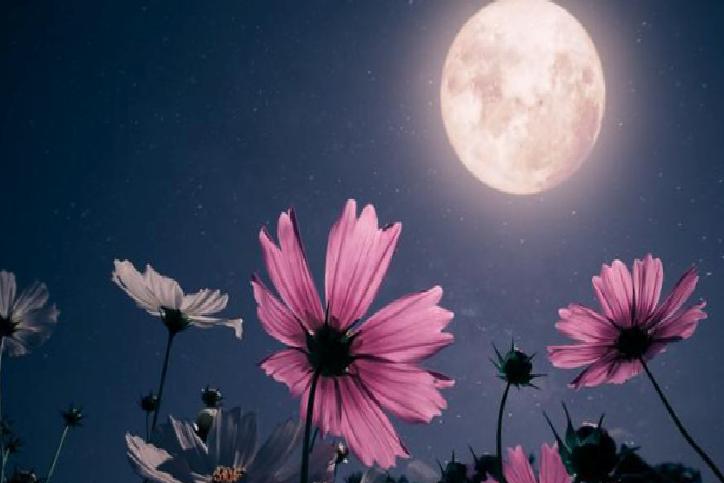 Temmuz Dolunayının Burçlara Olan Etkileri