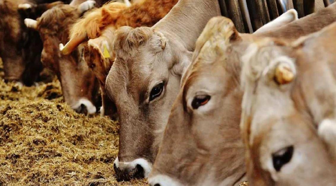 Bu Yılki Virüs Daha Tehlikeli ve Ölümcül