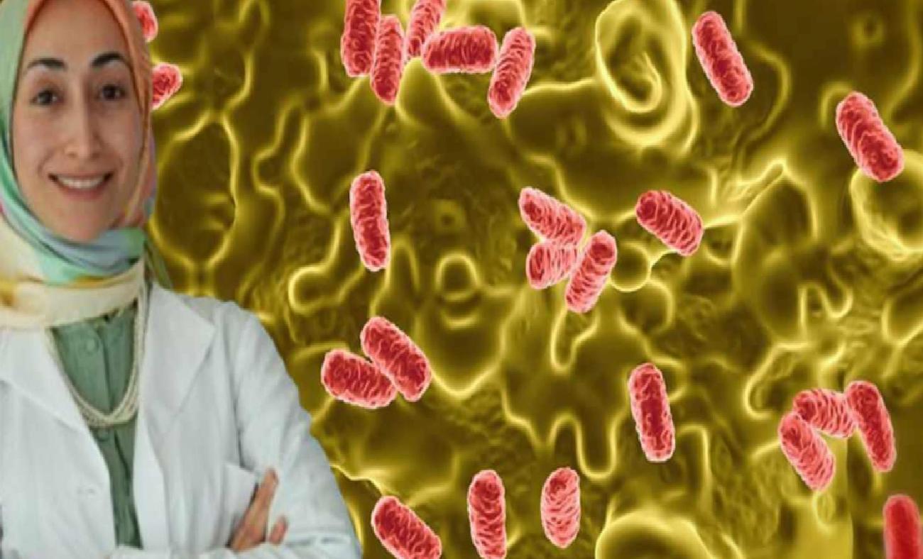 Yaz Aylarının Keyfini Salgın Tehdidi Salarken: Salmonella ve Önlemler