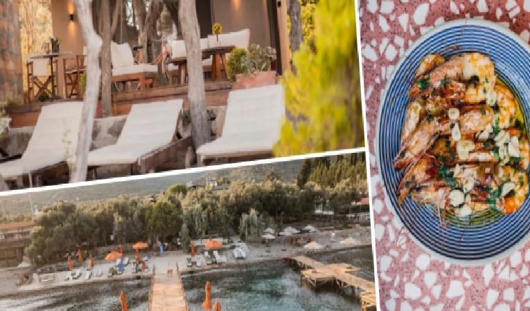 Kuzey Ege’de Lezzet ve Doğa: Simurg Sea X Mabou, Kaz Dağları