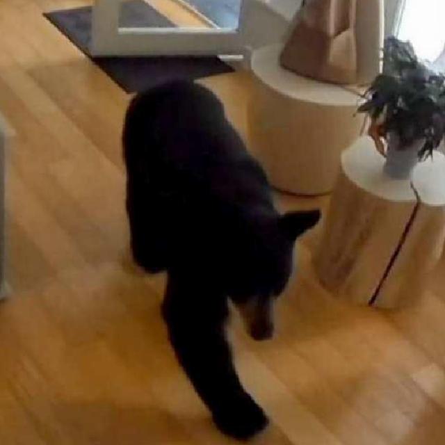 Sonuç ve Güvenlik Kaydı Sonrası