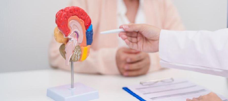 Umut ve Gelecek Vizyonu