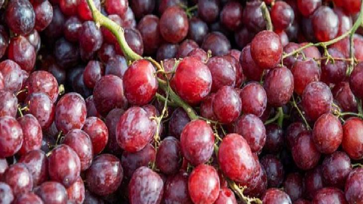 Antioksidan, vitamin ve mineral deposu! 100 gramı yaklaşık 70-80 kalori: Bademle tüketin