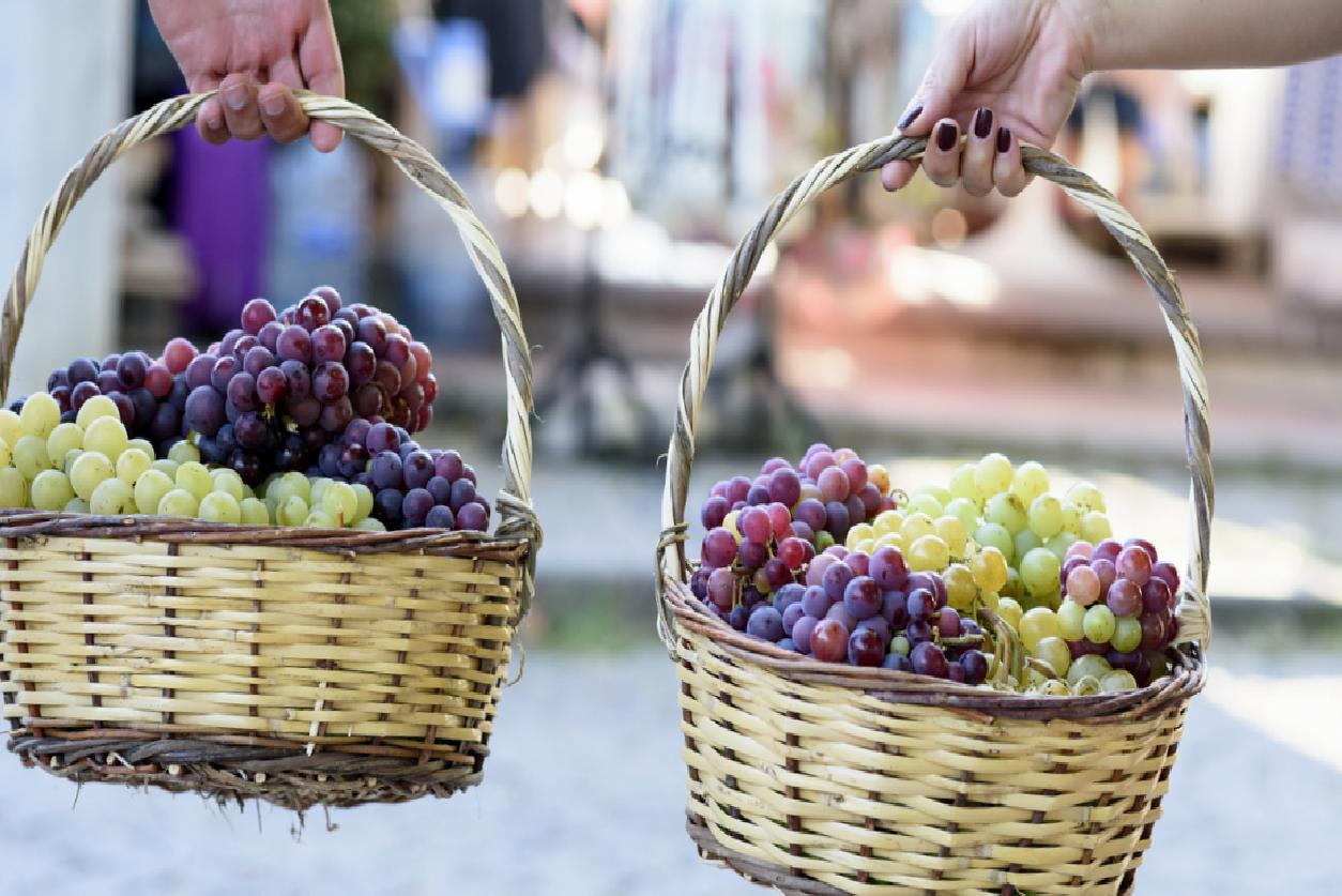 Ege’nin Saklı Hazinesi: Bozcaada’da 48 Saat