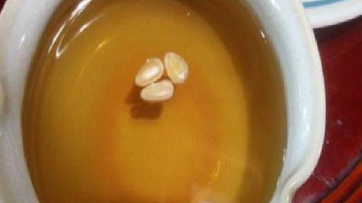 Türkiye’de Maesil-cha ve Hazırlama Yöntemleri