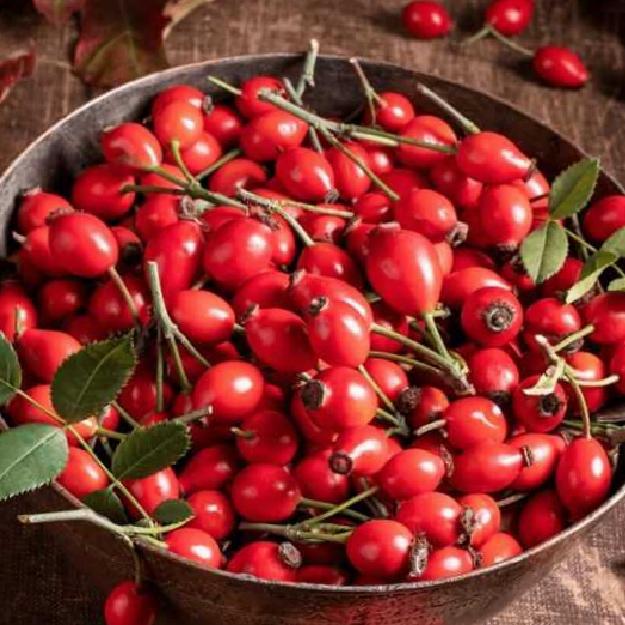 İltihaplanmayı Azaltıcı Gücü