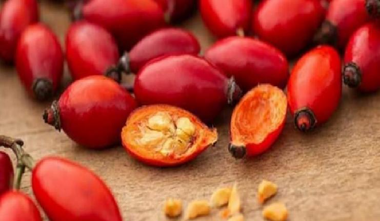 Sindirim Sistemi ve Metabolizmayı Destekler