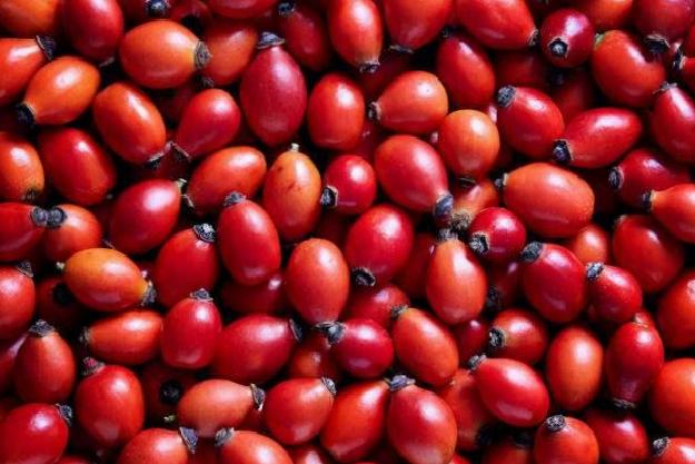 Parlak ve Genç Bir Cilt İçin