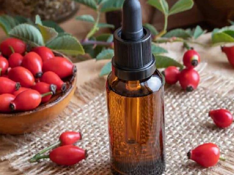 Limondan 60 kat daha güçlü: Kuşburnu kalbi bağışıklığı ve sindirimi zırh gibi koruyor!