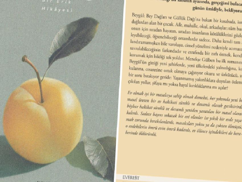 Beygül: Hafıza, Kimlik ve Görsel Diliyle İçsel Bir Yolculuk