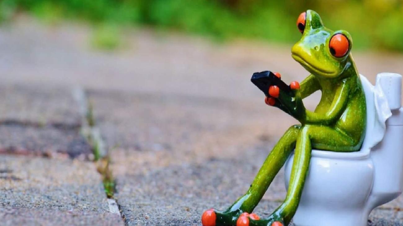 Cep Telefonuyla Tuvalette: Uzun Süre Oturmanın Basur Riski Üzerindeki Etkileri