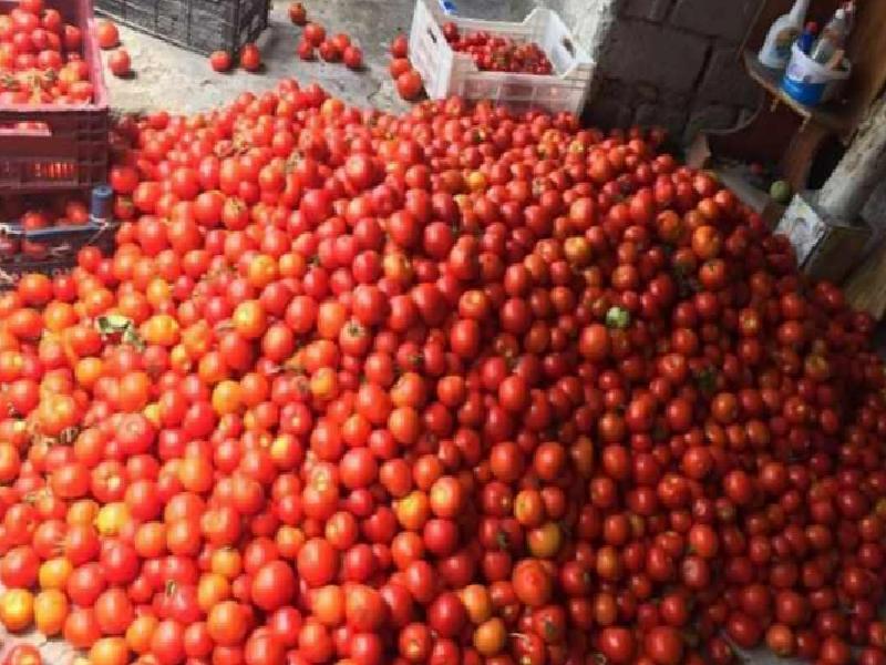 Evde Salça Yapımı: Domates ve Biber İçin Pratik Tarifler ve Püf Noktaları