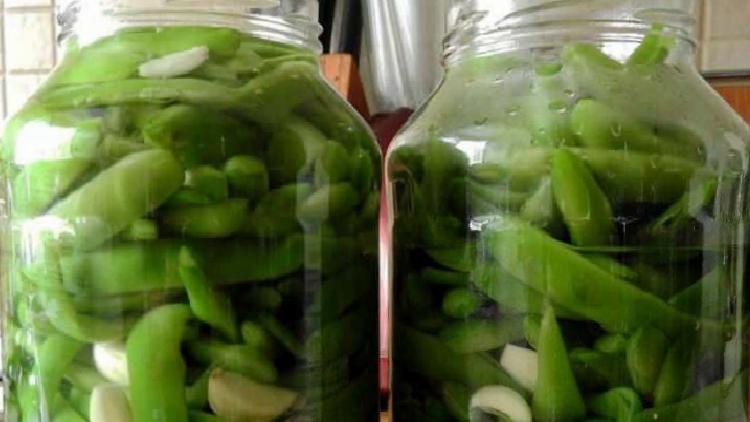 TAZE FASULYE TURŞUSU TARİFİ