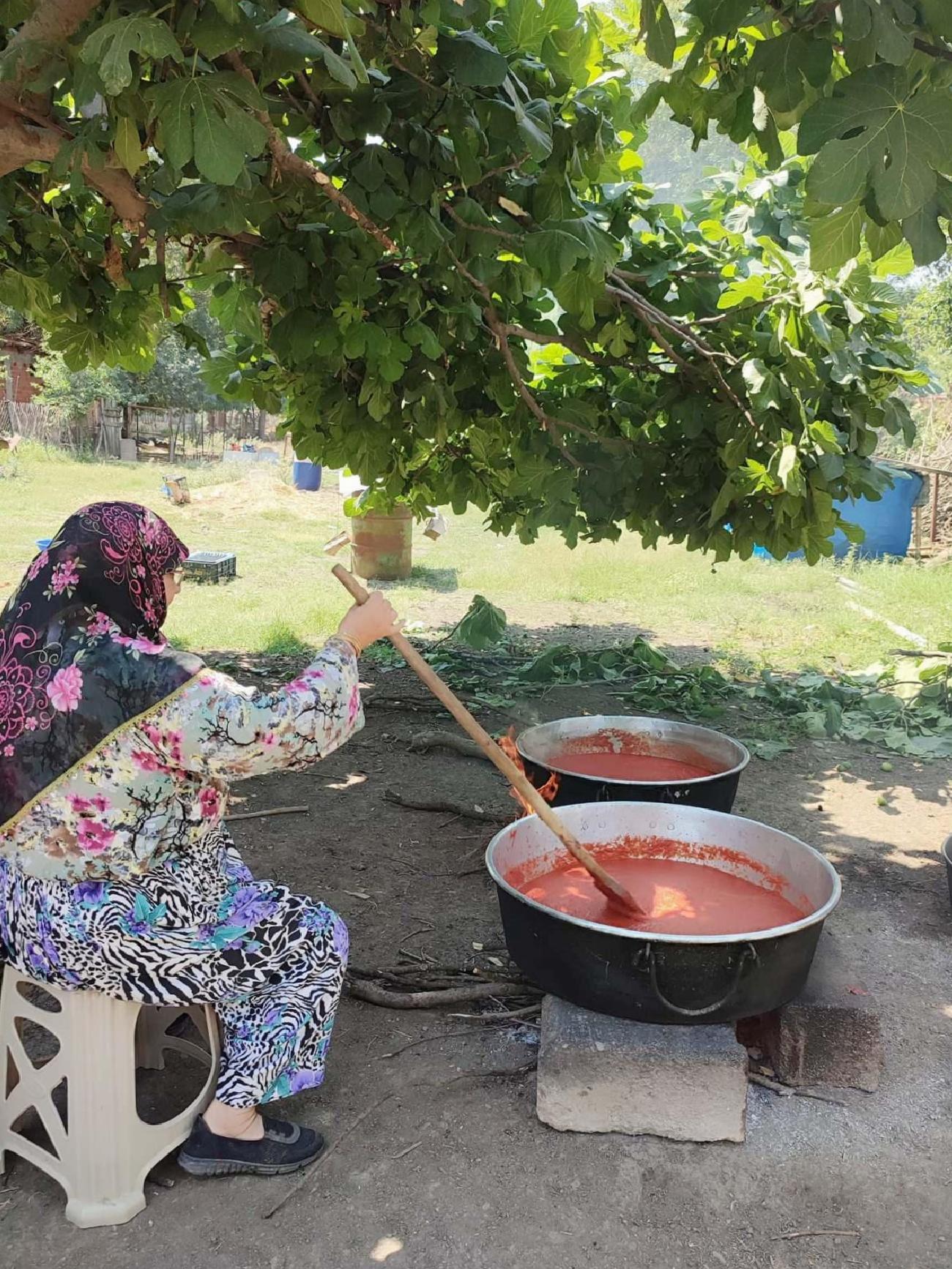 Kışlık Salça Gelenekleri: Odun Ateşinde Domateslerle İmece Usulü Hazırlık