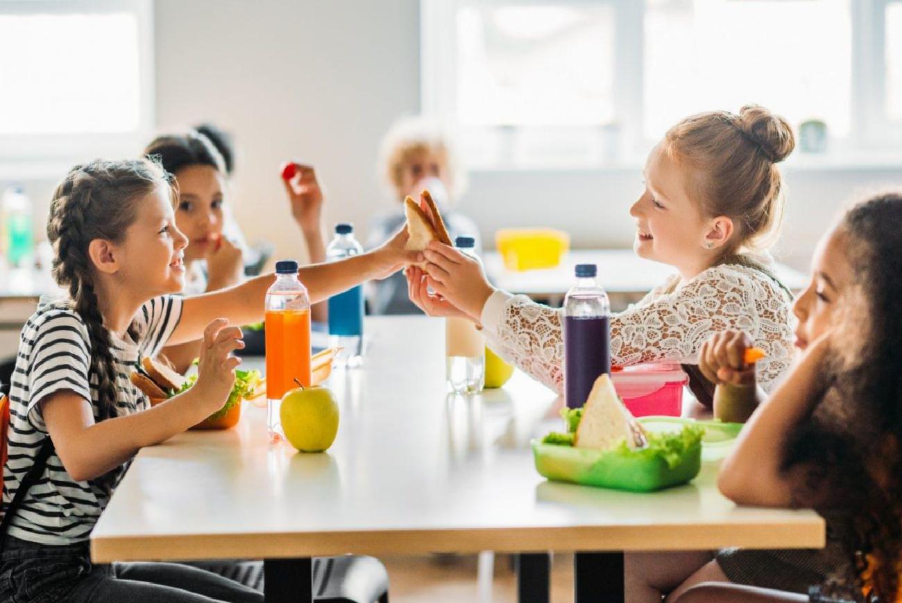 Okul Çağında Besin Alerjisi: Ailelerden Okula, Öğretmenlerden Mutfağa Kadar Alınması Gereken Tedbirler