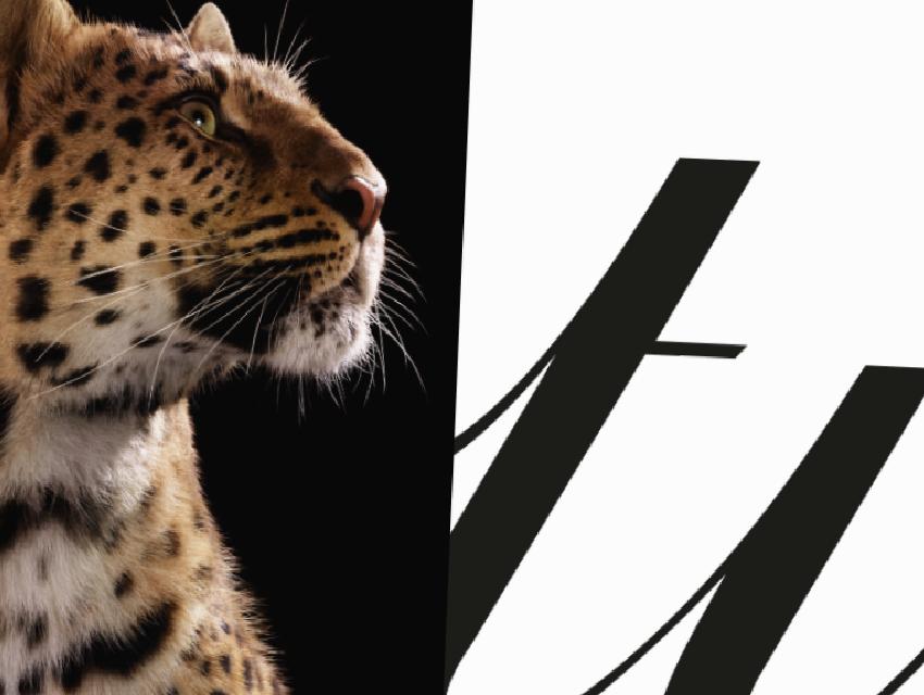 Panterin Şehre İnmeye Başladığı Cartier Kampanyasının Dijital ve Fiziksel Müdahaleleri