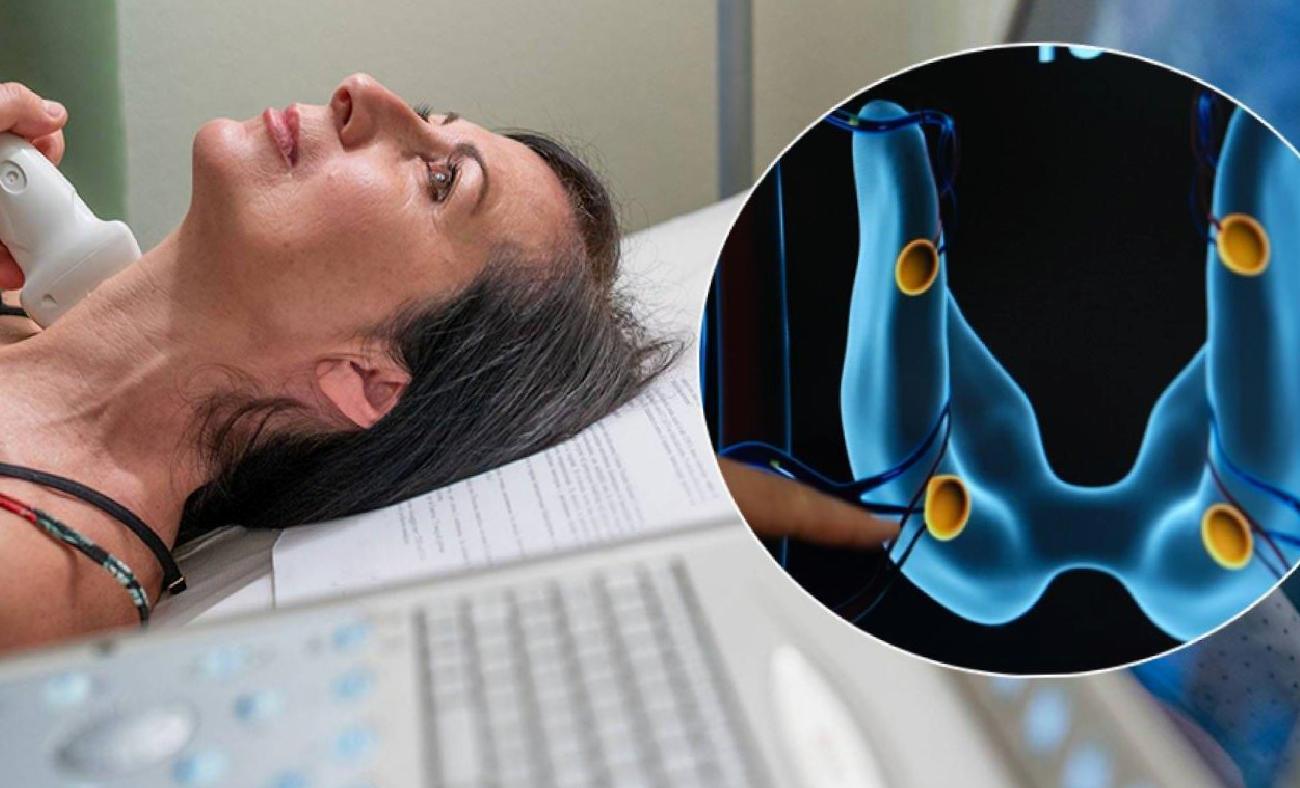 Paratiroid Bezleri ve Sağlık: Halsizlikten Taşa Yol Açan Mercek