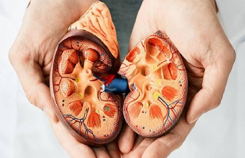 Robotik Cerrahi ile Böbrek Tümörü Tedavisinde Yeni Dönem: Parsiyel Nefrektomi ve Hızlı İyileşme