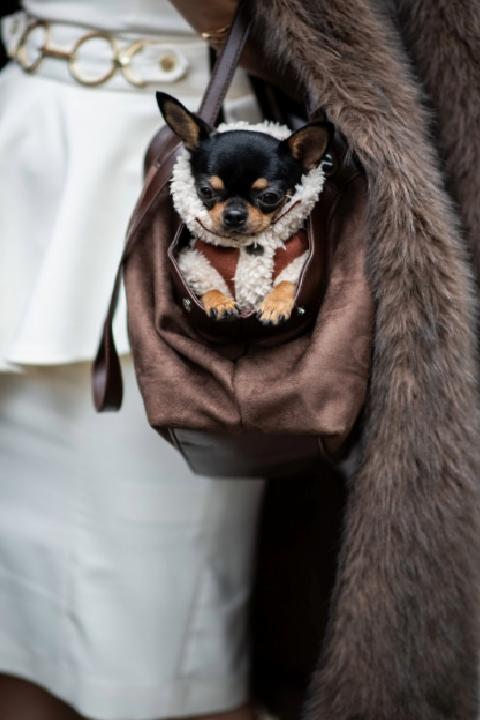 Sokak Modasının Dönüştürücü Gücü: Milano 2026 İlkbahar/Yaz Koleksiyonunda Malzeme ve Çanta Odaklı İfade