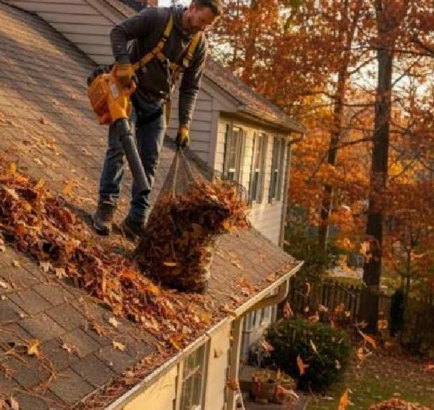 Sonbahar İçin Eve Davet: Konforlu ve Sıcak Bir Geçiş Rehberi